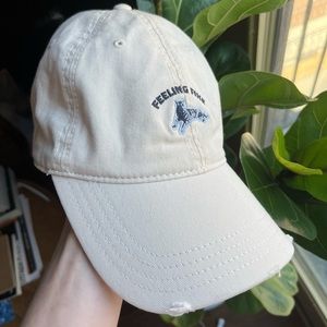 🚨LAST CHANCE🚨 AERIE • Feeling Fine Tiger baseball hat